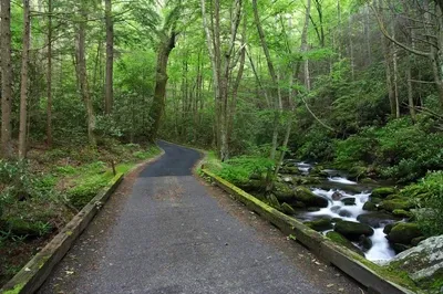 roaring fork scenic drive in the smoky mountains